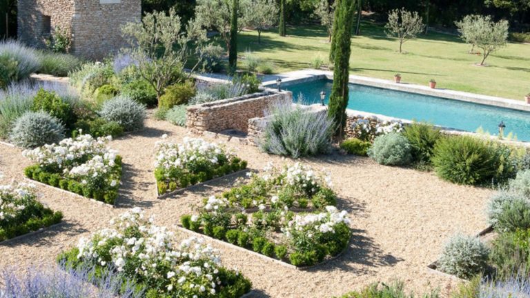 Conseils pour installer un jardin sec