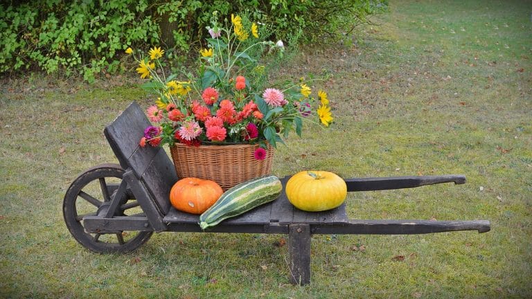Différentes façons de rendre votre jardin plus relaxant