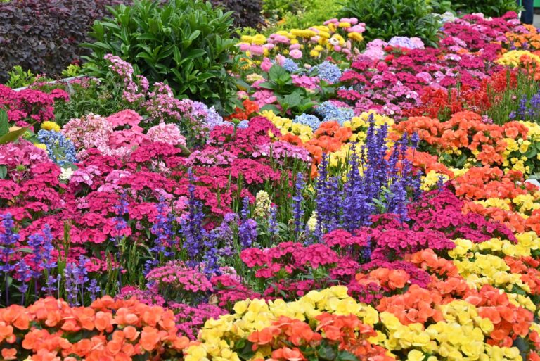 Comment avoir un jardin fleuri en toute saison ?