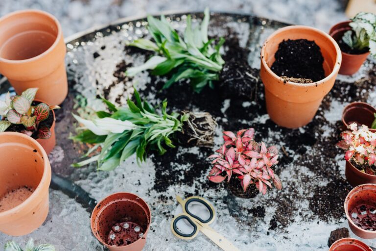 Quelles sont les étapes pour créer un jardin écologique et respectueux de la nature ?