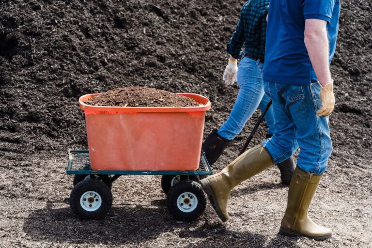 Comment réussir un jardinage bio sans produits chimiques ?