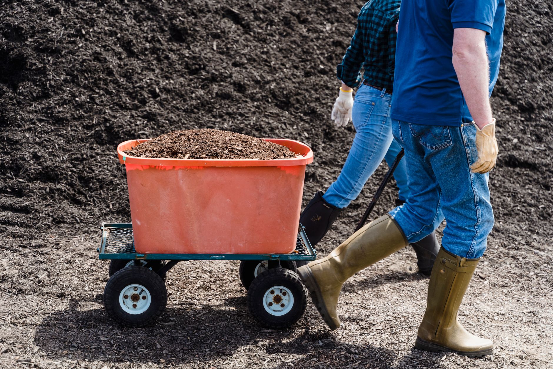 Comment réussir un jardinage bio sans produits chimiques ?
