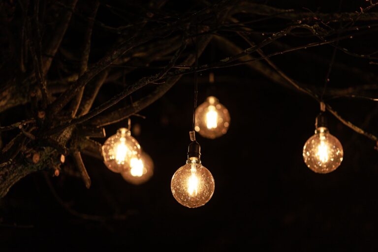 Comment assurer un éclairage design dans son jardin ?