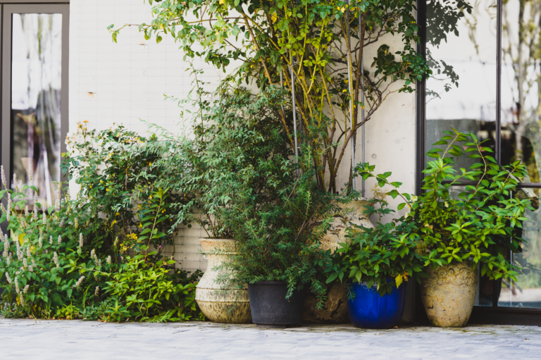 Comment rendre votre décoration extérieure tendance ?