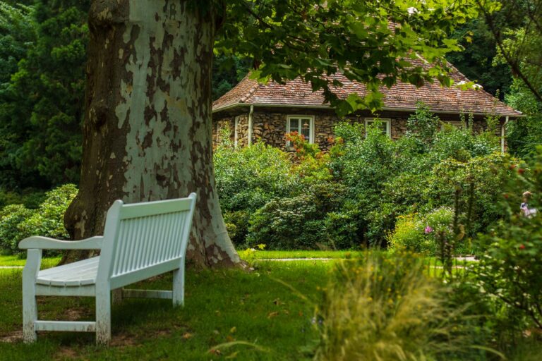 Quelles essences d&rsquo;arbres choisir pour créer un jardin ombragé et reposant ?