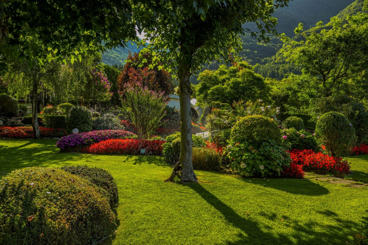 Quelles sont les nuances de couleurs pour un jardin moderne et harmonieux ?