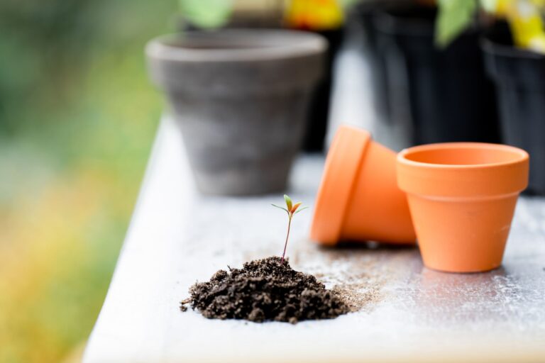 Un vieux pot en terre cuite devient lampe solaire de jardin