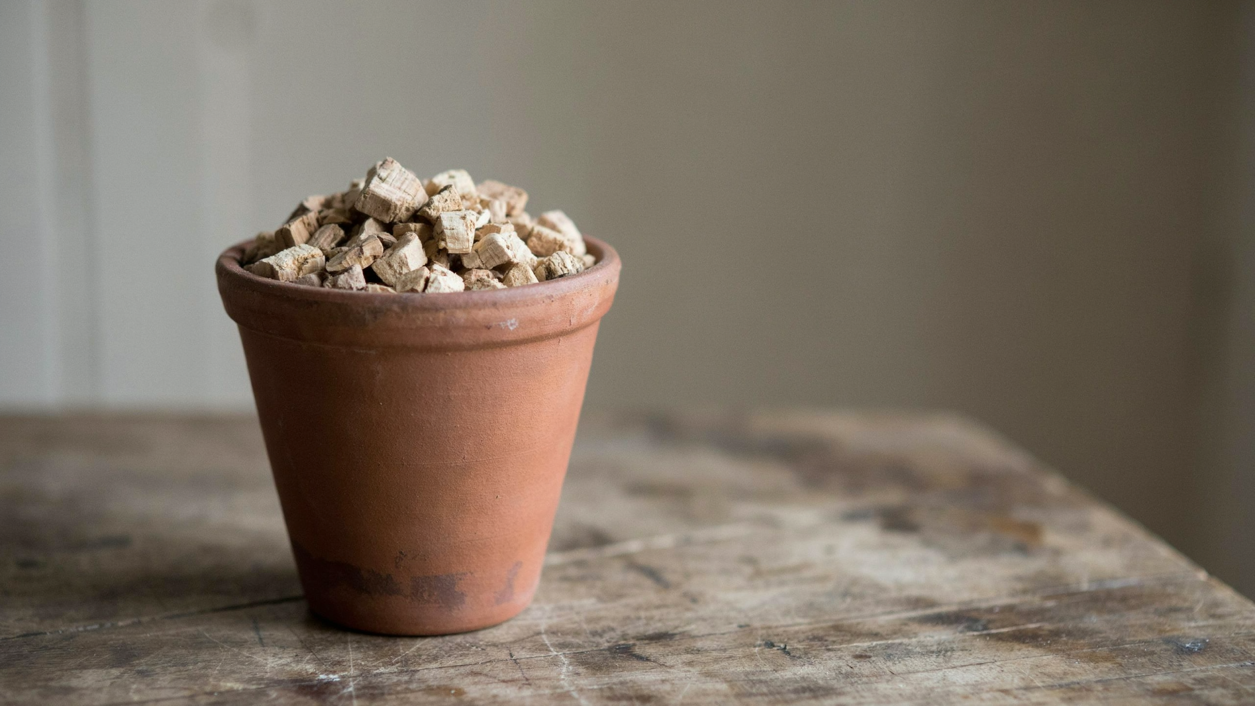 Des bouchons de liège au fond du pot pour mieux drainer ses plantes